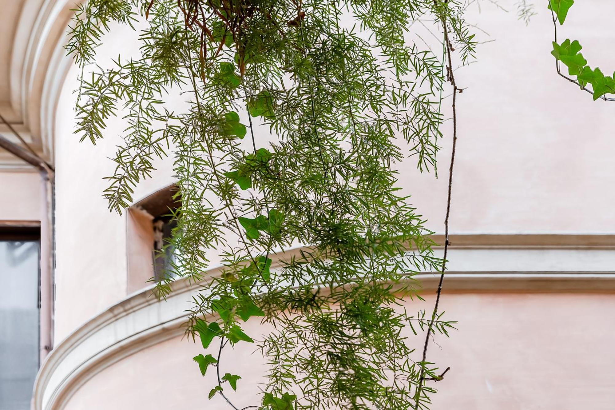 Trevi Fountain Stylish Guest House Рим Экстерьер фото